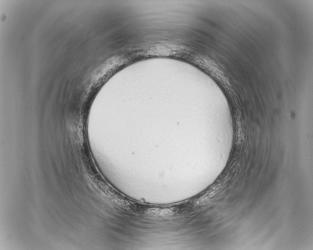 X0000059850354200511181544