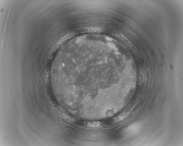 X0000059850355200511181544