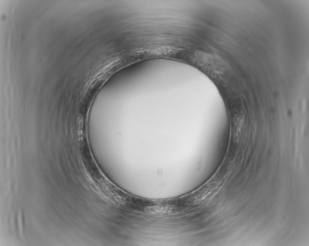 X0000059850356200511181544