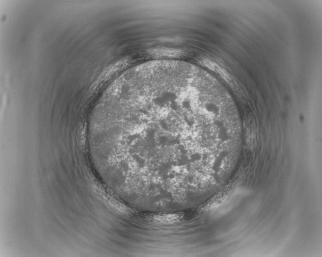 X0000059850357200511181544