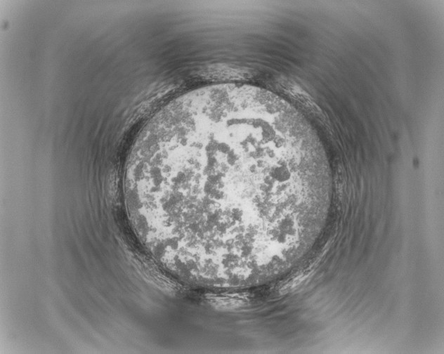 X0000059850359200511181544