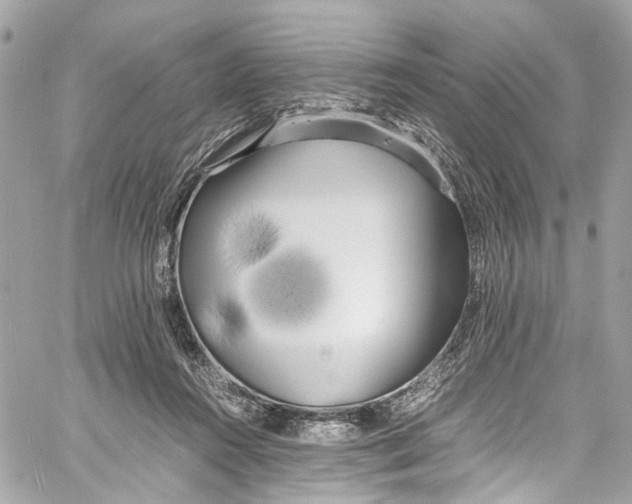 X0000059850360200511181544