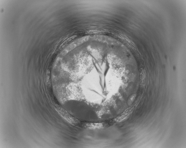 X0000059850361200511181544