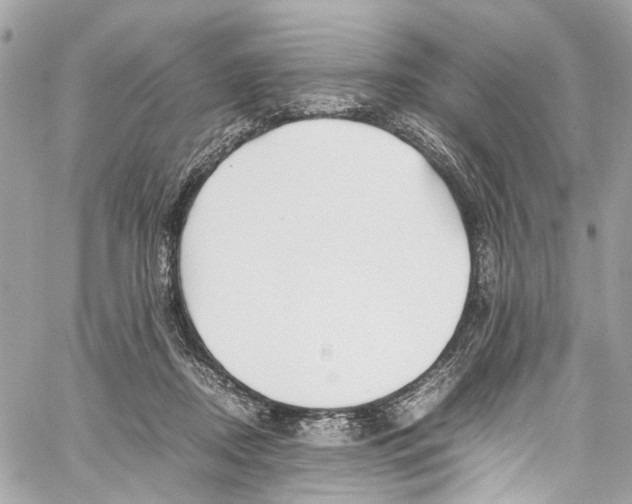 X0000059850362200511181544