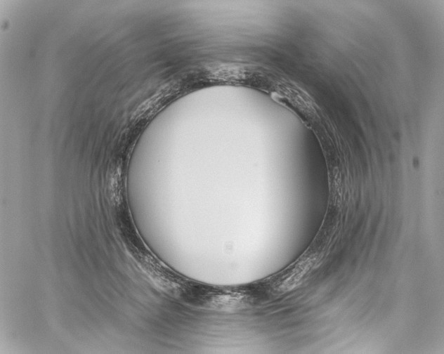 X0000059850364200511181544