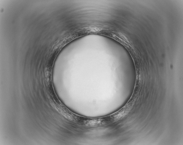 X0000059850366200511181544