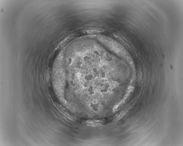 X0000059850367200511181544