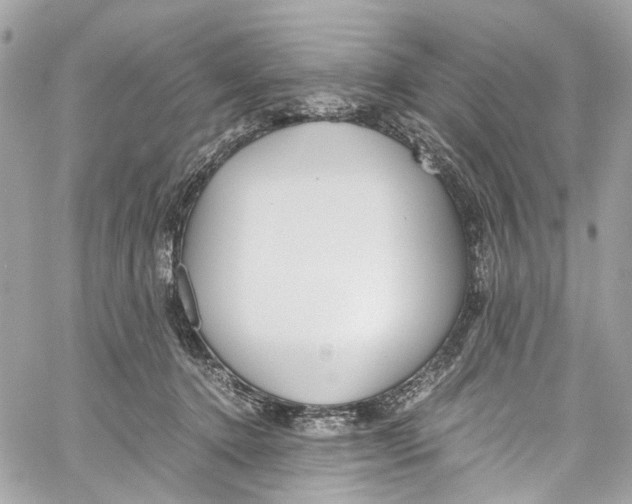 X0000059850368200511181544