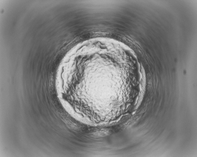 X0000059850369200511181544