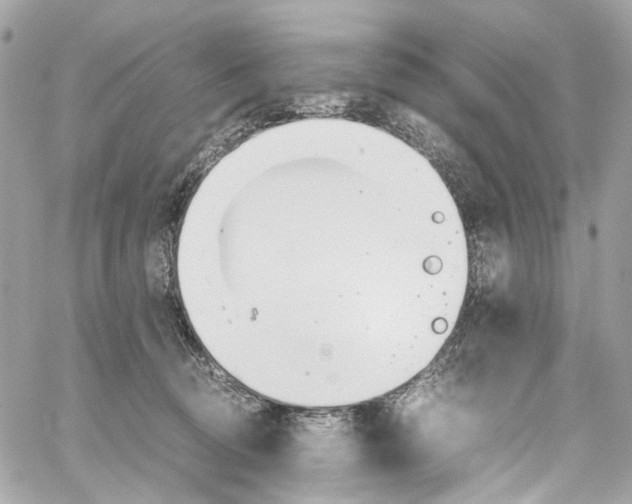 X0000059850370200511181544