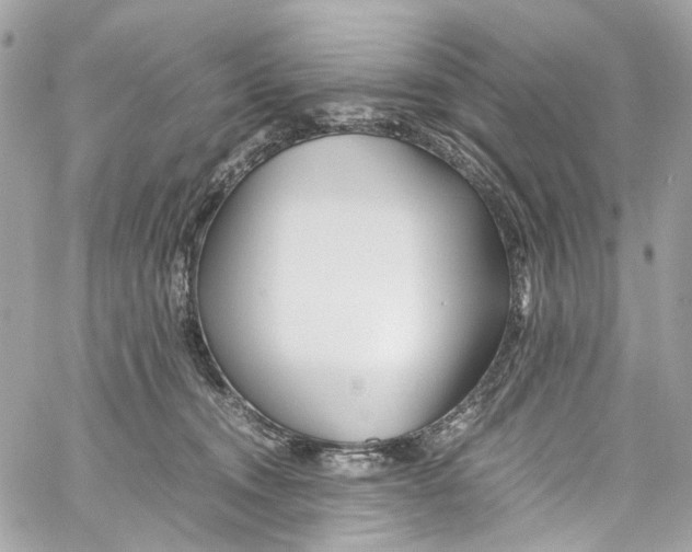 X0000059850372200511181544