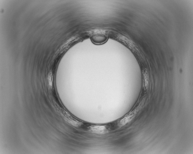 X0000059850374200511181544