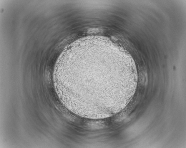 X0000059850375200511181544