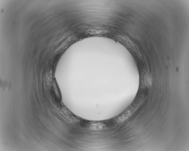 X0000059850376200511181544