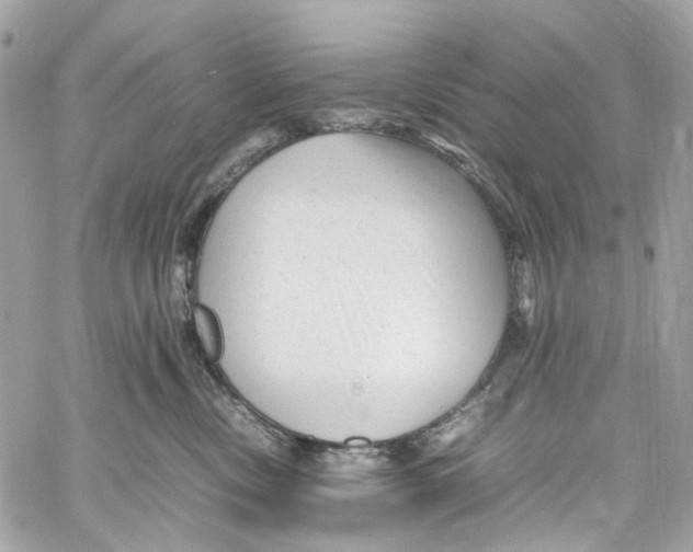 X0000059850378200511181544