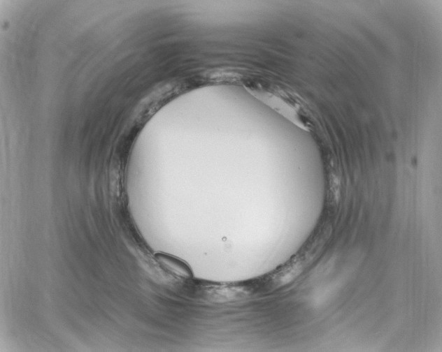 X0000059850379200511181544