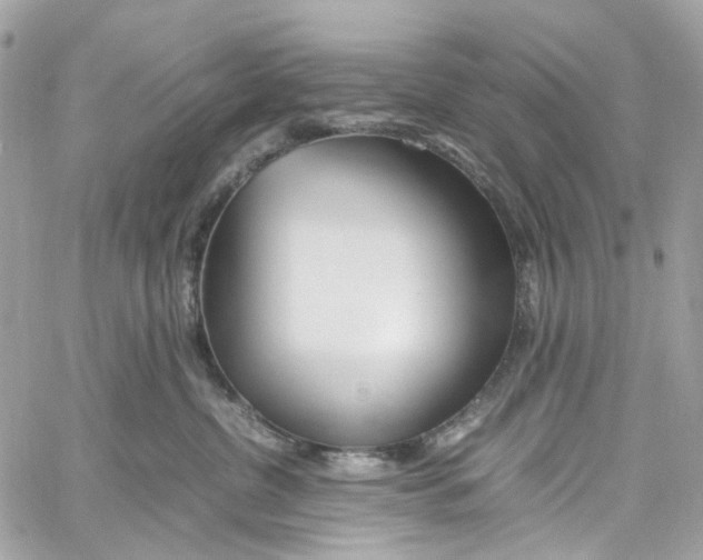 X0000059850380200511181544