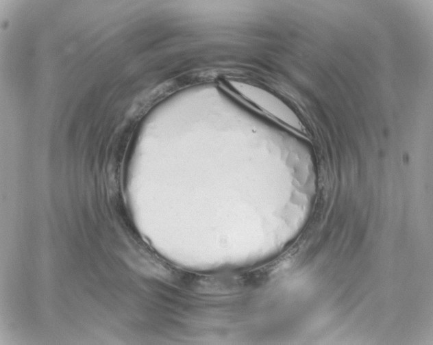 X0000059850381200511181544