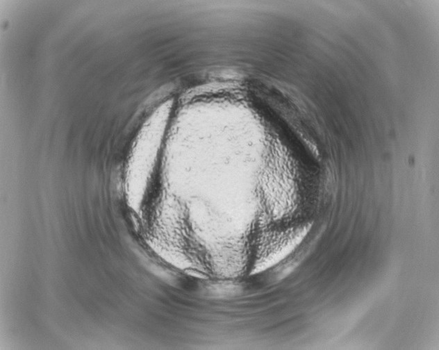 X0000059850383200511181544