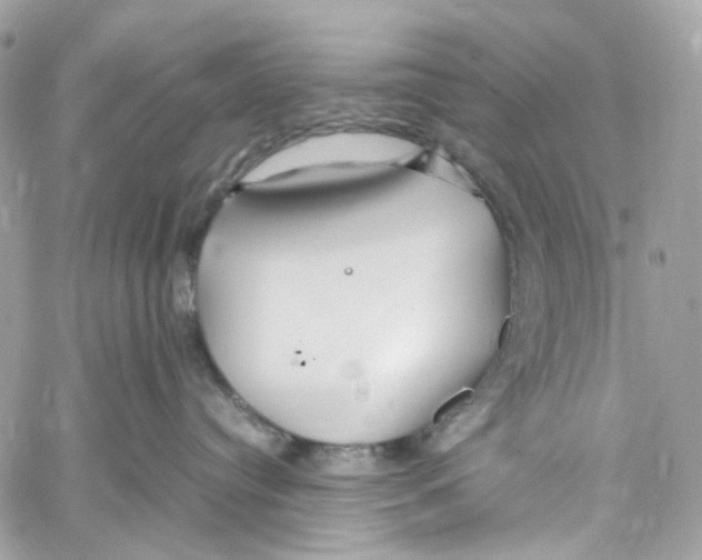 X0000059850384200511181544