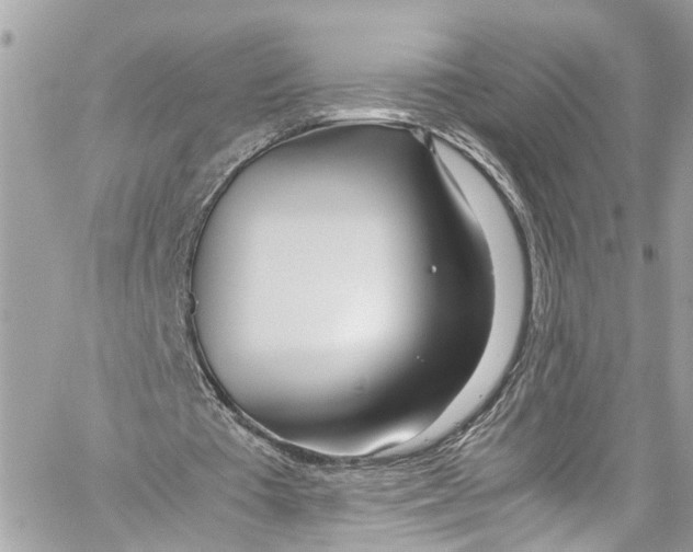 X0000059850385200511181544