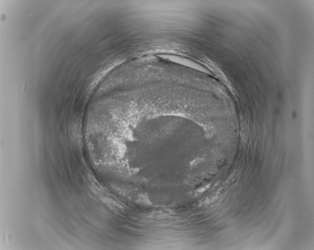 X0000059850386200511181544