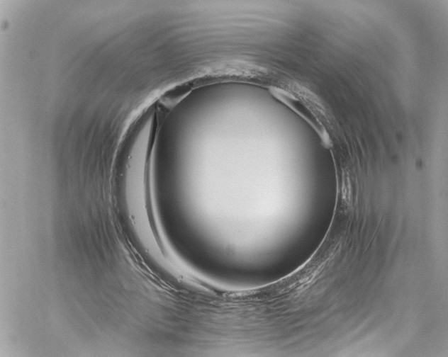 X0000059850388200511181544