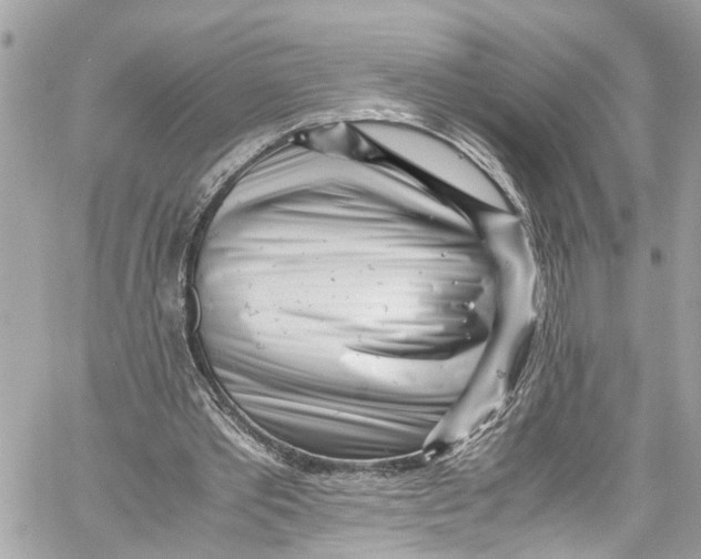 X0000059850389200511181544