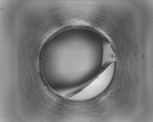 X0000059850391200511181544