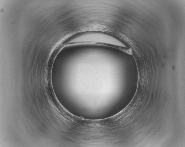 X0000059850392200511181544