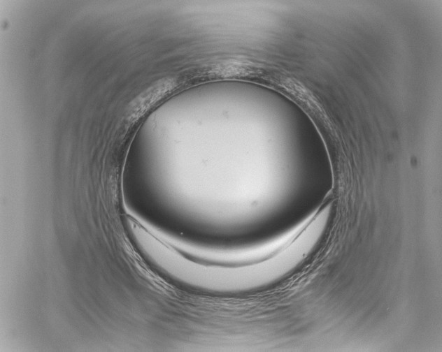 X0000059850393200511181544