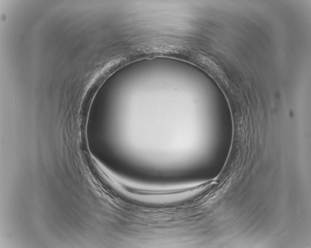 X0000059850395200511181544