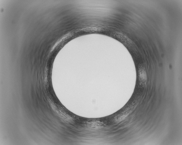 X0000059850396200511181544