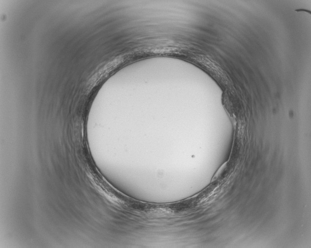 X0000059850397200511181543