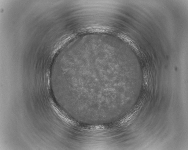 X0000059850398200511181543