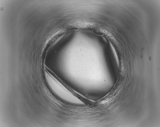 X0000059850399200511181543