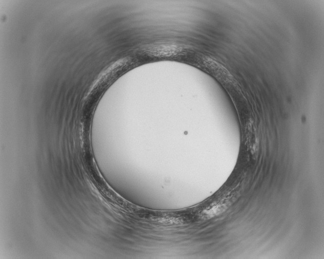 X0000059850400200511181543