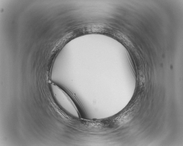 X0000059850401200511181543