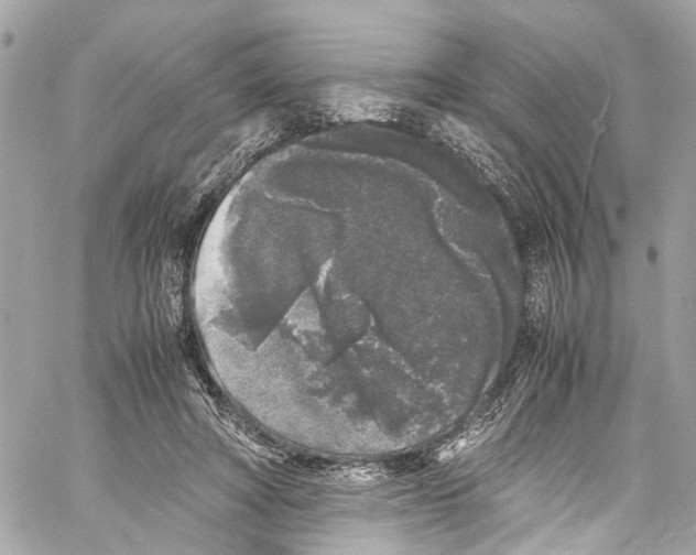 X0000059850402200511181543