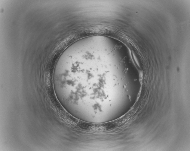 X0000059850403200511181543