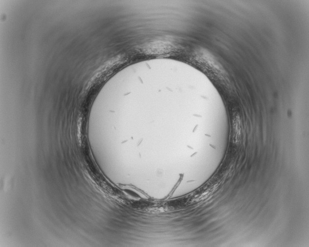 X0000059850404200511181543