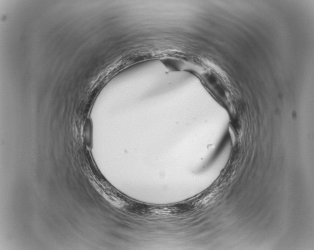 X0000059850405200511181543