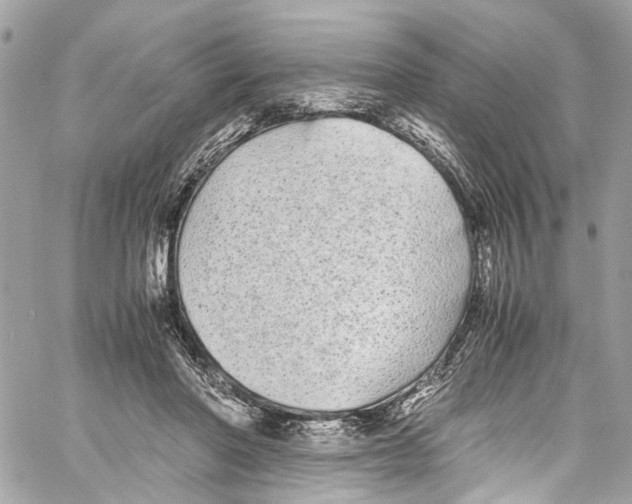 X0000059850406200511181543