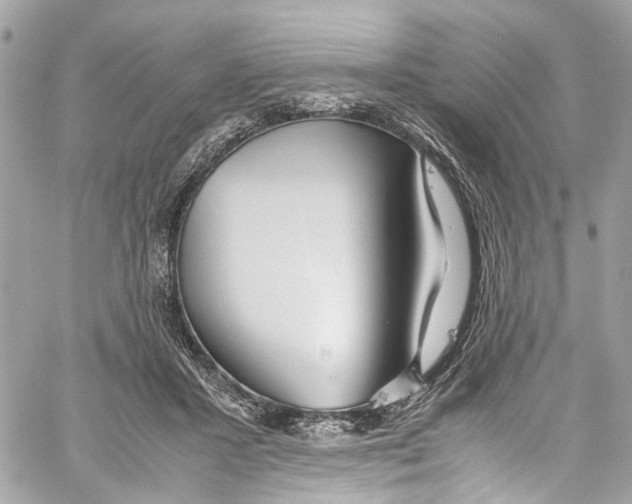 X0000059850407200511181543