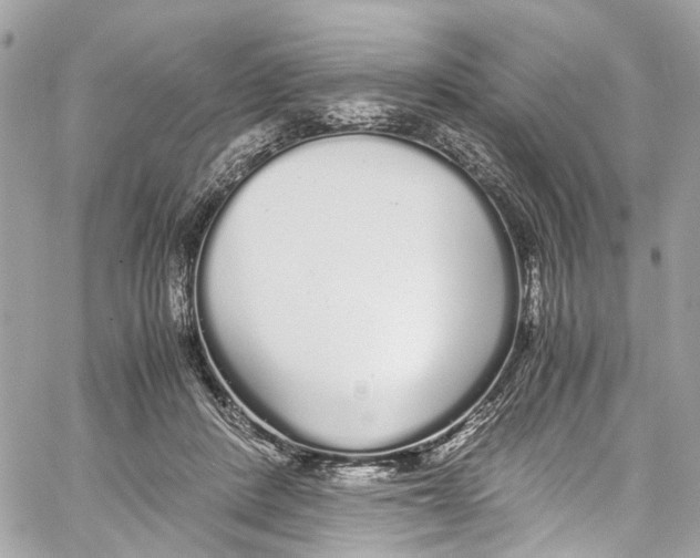 X0000059850408200511181543