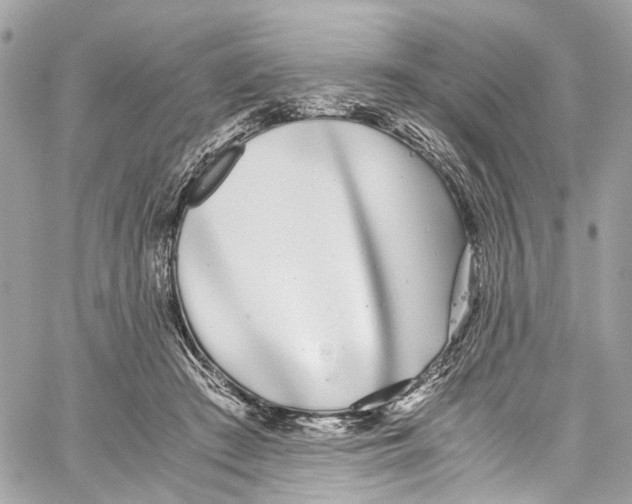 X0000059850409200511181543