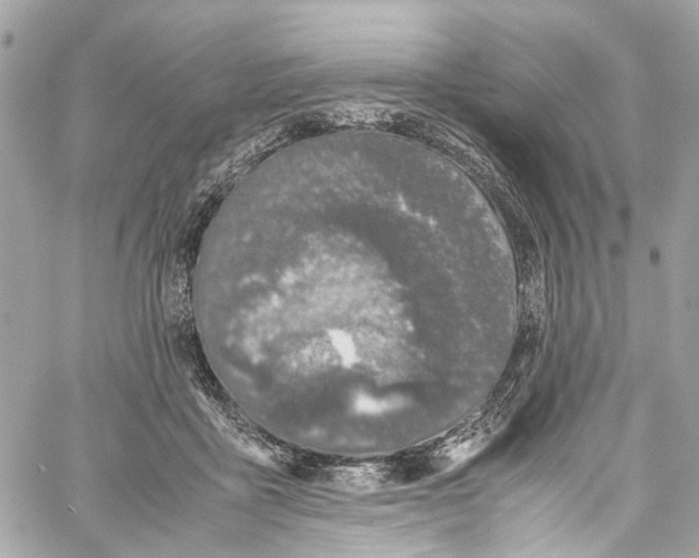 X0000059850411200511181543