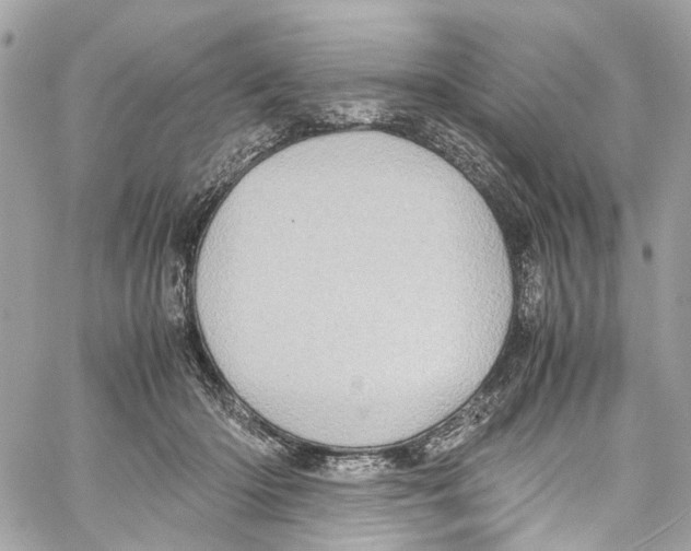 X0000059850414200511181543