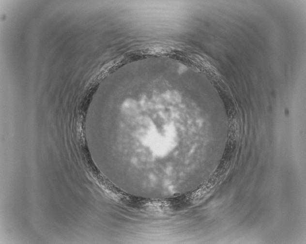 X0000059850415200511181543