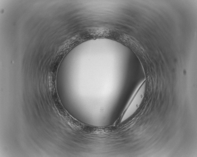 X0000059850416200511181543